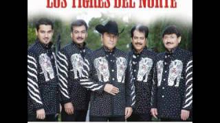 Los Tigres del Norte y Raul Hernandez [upl. by Roper]