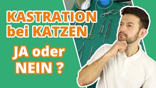 Kastration bei Katzen  JA oder NEIN Wann ist der richtige Zeitpunkt Gibt es Risiken [upl. by Lama]