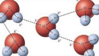 The Hydrophobic Effect [upl. by Nimar]