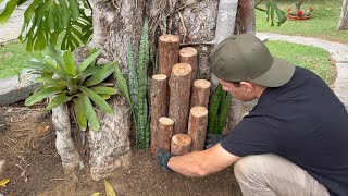 JARDIM EM TRONCO DE ÁRVORE Decore seu Quintal com Lindas Ideias [upl. by Ivory652]