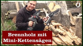 Brennholz machen mit MiniKettensägen [upl. by Leandra]