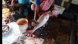 😱Amazing Giant red Snapper Fish Clening By Cutting Skills Live Fish Market [upl. by Ahtis628]