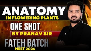 Anatomy in Flowering Plants  ONE SHOT  FATEH BATCH  NEET 2024 neet2024 [upl. by Eladnek]