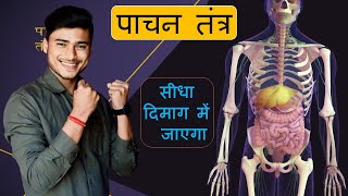 pachan tantra class 10th  पचान तंत्र ।। Digestive system class 10th by pankaj sir [upl. by Nitfa241]