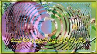 IRAJ ایرج ❤ Taghdir تقدیر ❤ LYRICS [upl. by Niryt]