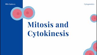 Mitosis and Cytokinesis [upl. by Karub]