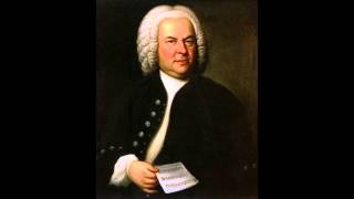 J S Bach  Works For Lute Harpsichord [upl. by Birk]