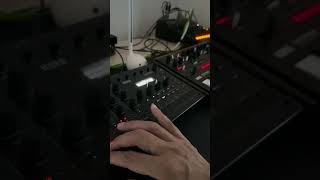 KORG drumlogue x monologueで即興テクノミュージックを奏でる korg techno drumlogue resystem [upl. by Nera347]