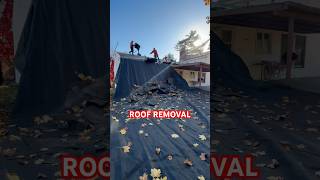 Roof removal on a beautiful fall day🍂roof roofing roofer rooferslife asmr fall youtubeshorts [upl. by Tabor]