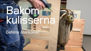 Getens återkomst  Bakom kulisserna  Robert Rauschenberg Monogram [upl. by Lali]