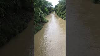 Beautiful Apartado Colombia River rivers nature englishspeaking [upl. by Amej]