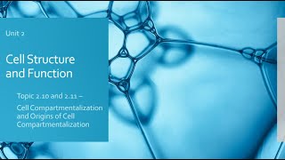 210 and 211  Cell Compartmentalization and Origins of Cell Compartmentalization [upl. by Philbert]