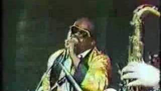 BARRENCE WHITFIELD amp THE SAVAGES Live and Interview BBC [upl. by Conte]