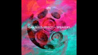 Ganzfeld Effect  Bitches Original Mix [upl. by Melan89]