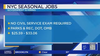 NYC hiring for seasonal jobs across all five boroughs How to apply [upl. by Avehsile49]