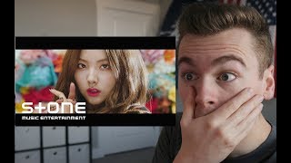 FRESH START 밴디트 BVNDIT  Dumb MV Reaction [upl. by Ecadnak]