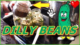 Canning Dilly Beans  Easy Recipe  How To Make Dilly Beans [upl. by Carrew881]