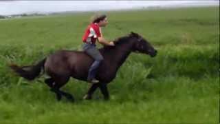 500m Bareback flatout gallop on Horse [upl. by Breanne13]