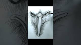 kartal çizimi karakalem shorts howtodraw art karakalem drawing easydrawing [upl. by Almeeta]