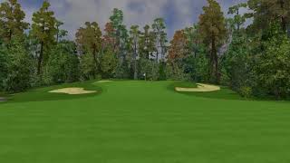 Innisbrook Resort  Island Course v202  Foresight Sports FSX 2018 [upl. by Thisbe]