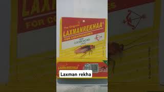 Laxman rekha [upl. by Hcardahs]