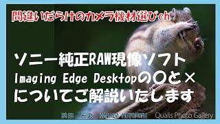 間違いだらけのカメラ機材選びch 「ソニー純正RAW現像ソフトImaging Edge Desktopの〇と×についてご解説いたします」 [upl. by Queenie]