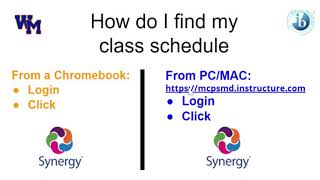 Como entrar a studentvue synergy [upl. by Brynne]