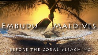 EmbuduMaldivesbefore the coral bleaching [upl. by Nwhas]