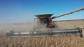 Harvesting Pioneer Z Series Soybeans From Corteva Agriscience [upl. by Notxarb]