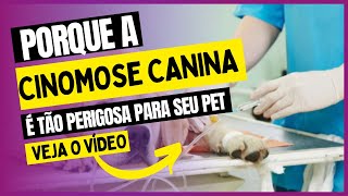 Cinomose Canina Porto Pet Shop e Clínica Veterinária [upl. by Yessac]