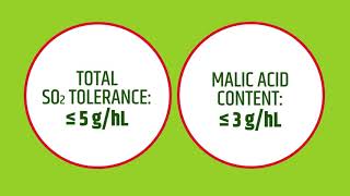 ML Prime™ a selected wine bacteria for very fast and efficient malolactic fermentation on red wine [upl. by Nonnairb]