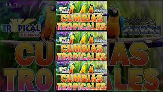 TROPICALES MIX PARA BAILAR EXITOS🎶CUMBIAS TROPICALES 2024💃🔆JUNIOR KLANLOS KARKISACAPULCO TROPICAL [upl. by Idoc932]