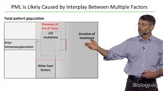 Bench to Bedside Multiple Sclerosis and Tysabri Part 2  Ted Yednock [upl. by Airbmak]