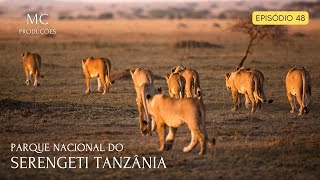 Parque Nacional do Serengeti  Tanzânia [upl. by Timus999]