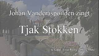 Ronse in t Ronssies CD  Tjak Stokken [upl. by Retloc321]