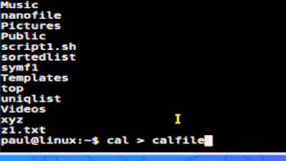 How to write output to file in Linux [upl. by Rrats]