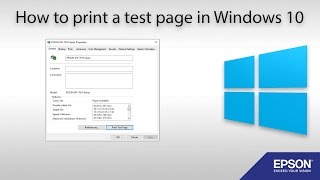 How to Print a Test Page Windows 10 [upl. by Desirae]