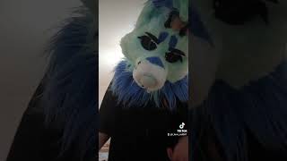 🔥🔥🔥 furry furs fur fursuit furr dance вреки furredition furring [upl. by Obadiah]