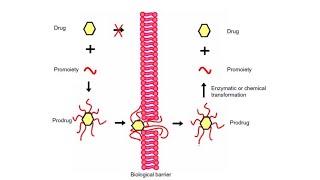 Prodrug42 [upl. by Loma663]