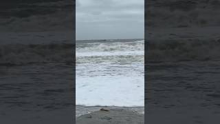 Mickler’s Landing Beach on the day after hurricane Milton🌊 shorts hurricanemilton beach [upl. by Grimonia]