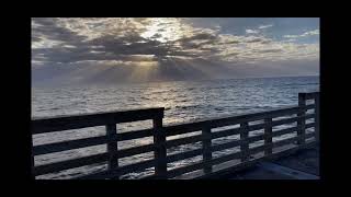 Relaxing at the Jacksonville Beach pier [upl. by Atineg76]