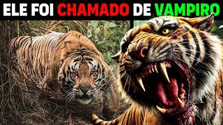 Sumatra NUNCA TINHA VISTO um tigre tão TERRÍVEL  Tigre ataca aldeia [upl. by Ihculo]