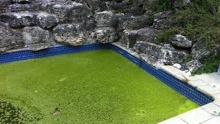 How To Remove Phosphates From Pool Water [upl. by Reham669]