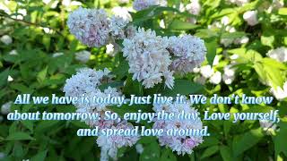 DEUTZIA FLOWER WITH INSPIRATIONAL QUOTES [upl. by Corissa]