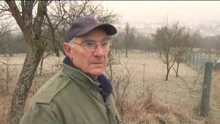 Chasse aux sangliers en Meurtheetmoselle [upl. by Dash]