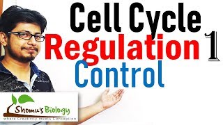 Cell cycle control  Regulation of cell cycle 1 [upl. by Anastasie227]