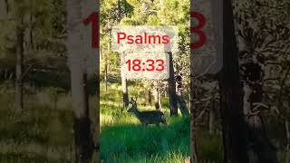 Morning Time Scripture Psalms 1833naturedeercreationforyou forest runningwithgod2677shorts [upl. by Brightman]