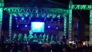 Las Amarillas Banda La Fiera de Las Chilenas ML Producciones 2016 [upl. by Ilan]