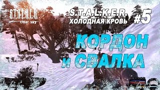 Кордон и Свалка  Прохождение STALKER Холодная Кровь  Часть 5 [upl. by Wise]