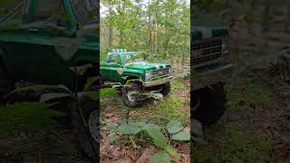 Welkom to the jungle traxxas offroad crawling rccar 4x4 [upl. by Gratianna228]